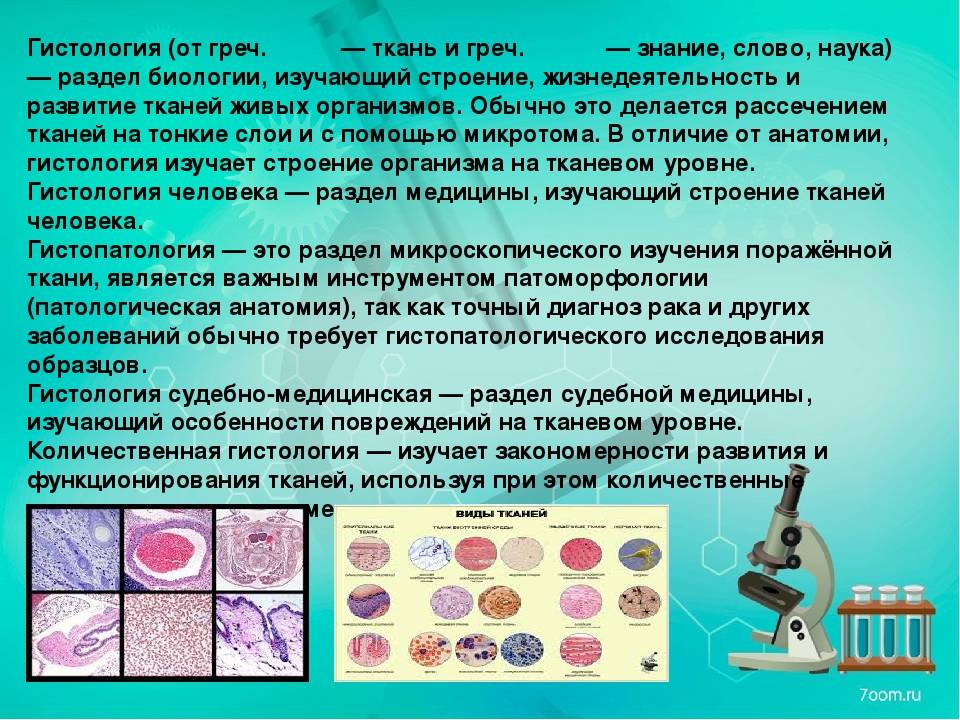 Гистология и цитология
