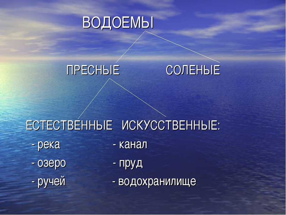 Отличия озера и пруда: чем они различаются?