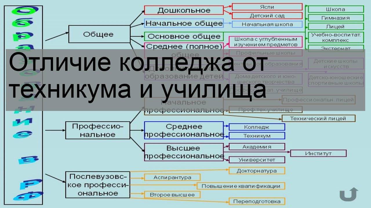 Колледж или техникум в чем отличие. техникумы и колледжи: в чем разница, и что лучше