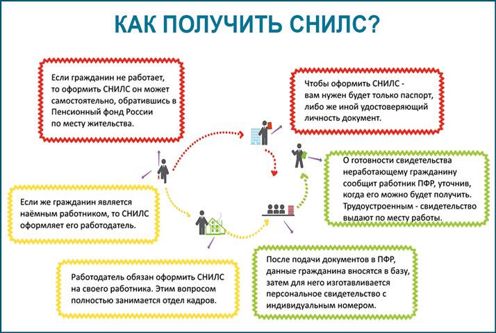 Перечень документов, необходимых для оформления полиса омс | смо «чулпан-мед»