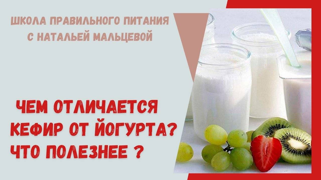 Чем йогурт отличается от кефира — основные отличия | в чем разница