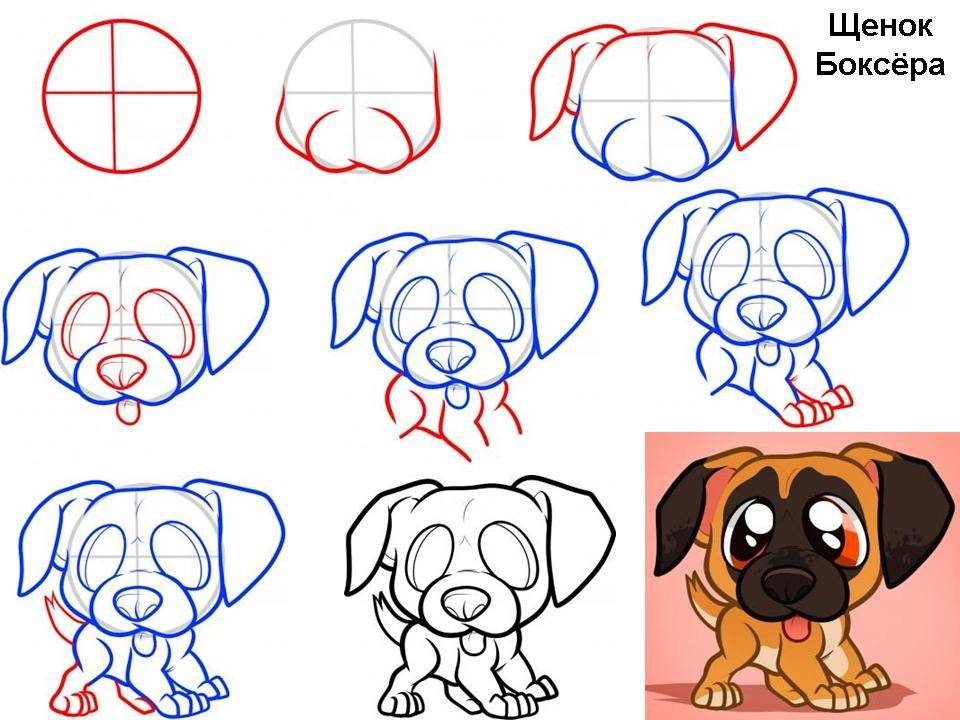 Как нарисовать собаку | рисунок собаки породы сенбернар