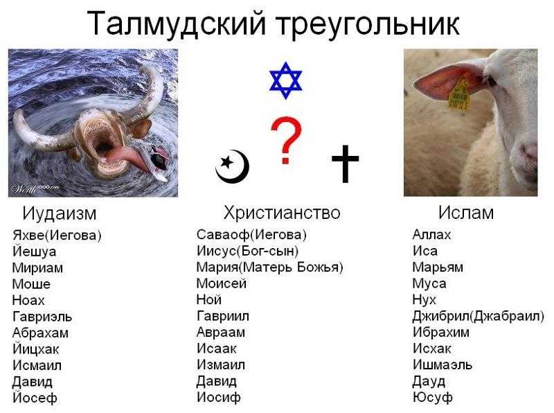 11 вопросов про иудаизм