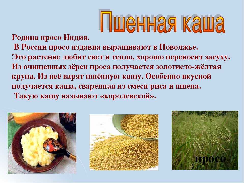 Пшённая каша: питательная ценность, польза и вред для здоровья