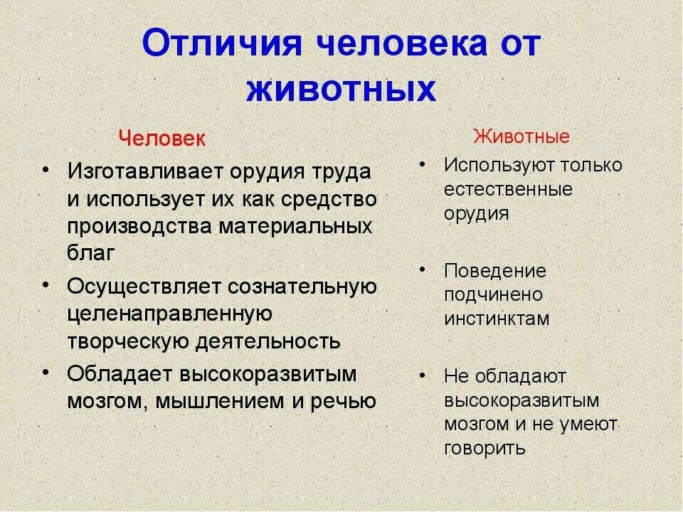 Человек и животное: проблема тождества и различия