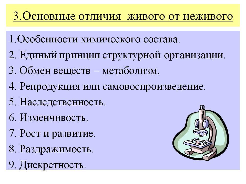 Живая и неживая природа