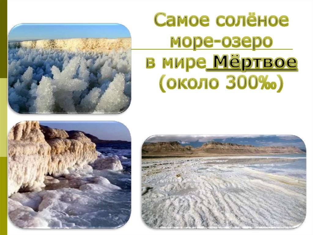 Красное море: почему оно так называется, солёность водоёма, обитатели, характеристики, климат, интересные факты