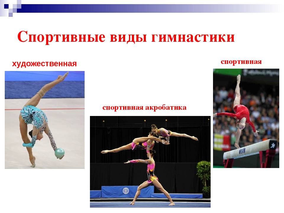 Отличия спортивной гимнастики от художественной - questquotient.ru