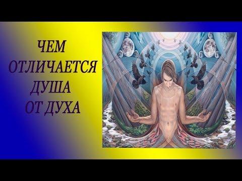 Чем отличается дух от души: сравнение и отличия