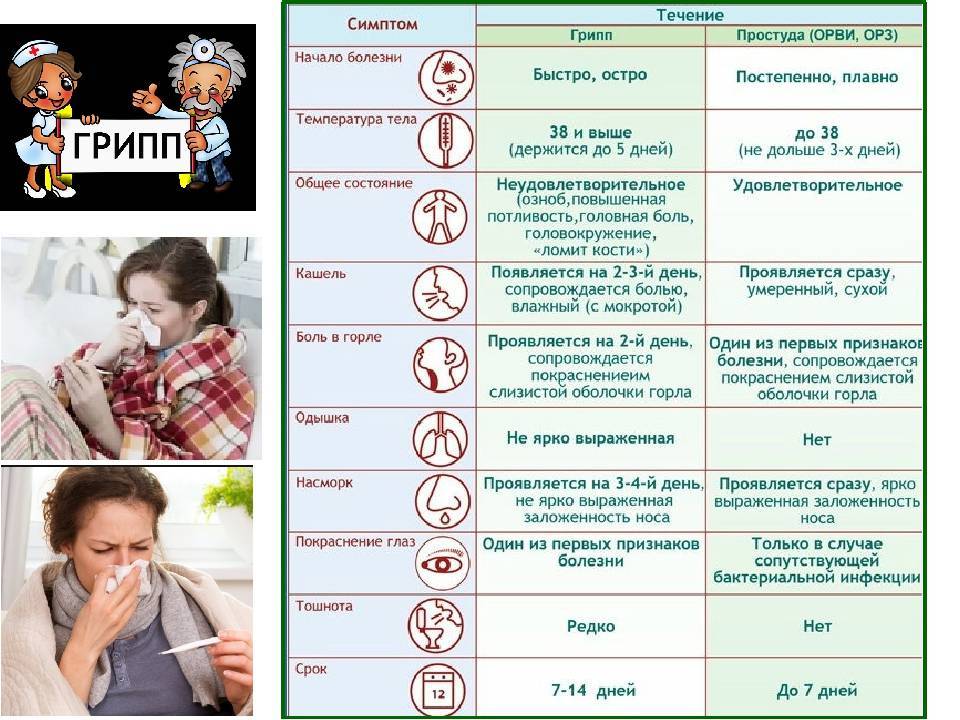 Орз, грипп и орви: в чем сходство и различие