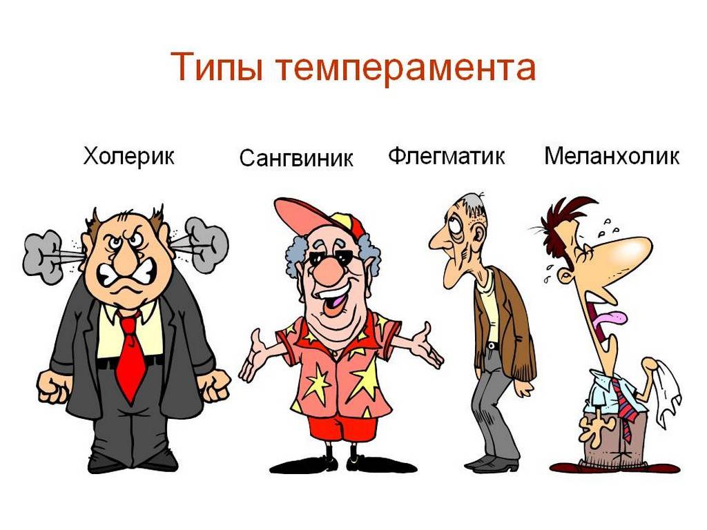 Типы темперамента и их характеристика | "веретено"
