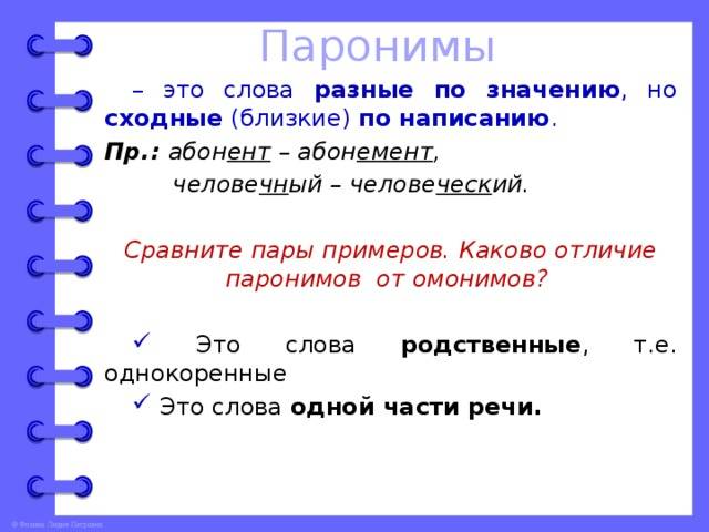 Что такое омонимы и паронимы: разница и примеры
