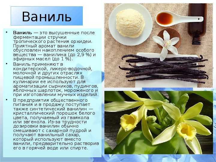Ваниль и ванилин - в чем разница?
