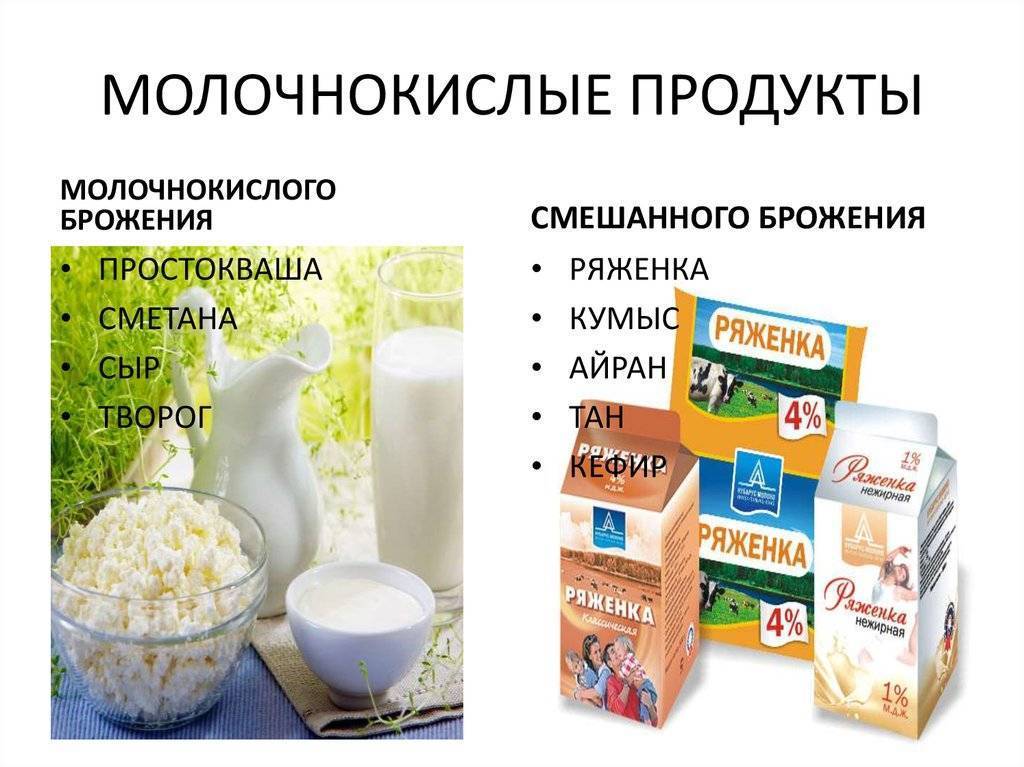 Чем простокваша отличается от кефира и ряженки: польза продуктов