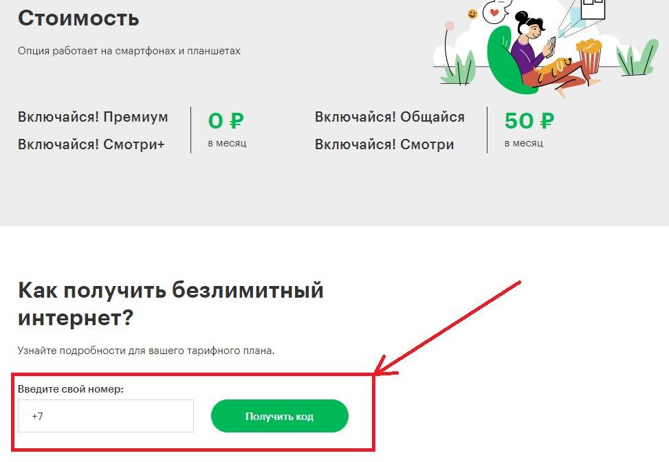 Недорогой интернет для дачи: сравниваем тарифы операторов в 2023 году