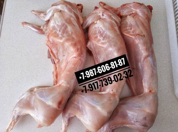 Как различить мясо кролика от мяса кошки