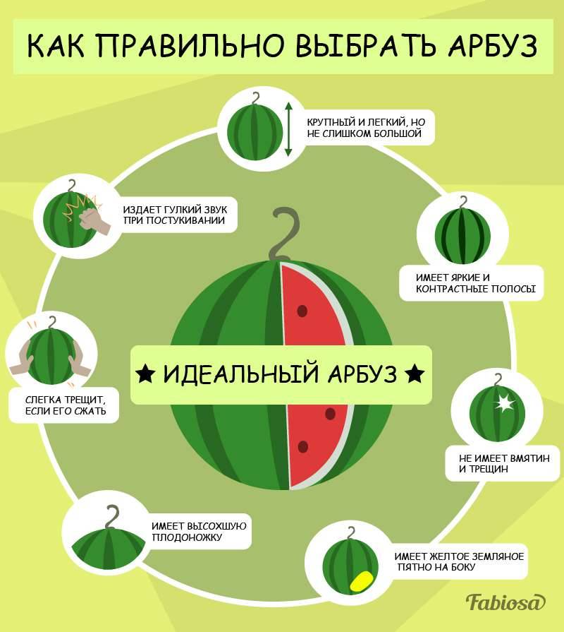 Как безошибочно определить спелость арбуза
