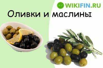Какая разница между черными и зелеными оливками
