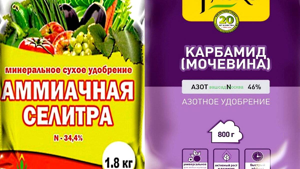 Аммиачная селитра или мочевина что лучше для огородных культур и сада