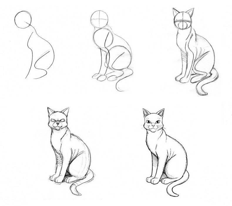 Рисуем котёнка... | envatomarket.ru | norma-studio.github.io