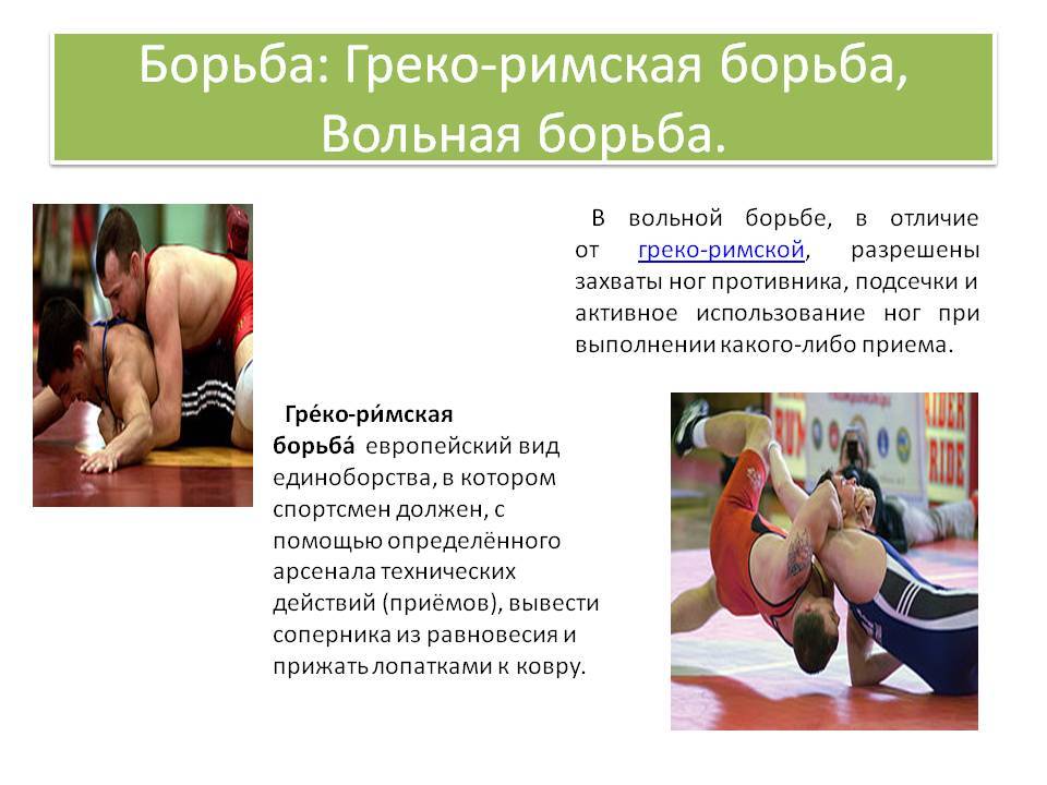 Разница между вольной и греко-римской борьбой