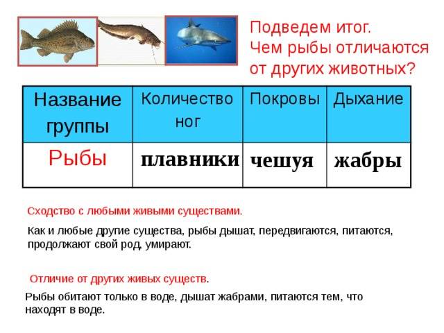 Гдз к учебнику биологии 7 класс, пасечник. ответы к §18 общая характеристика рыб - страница 19