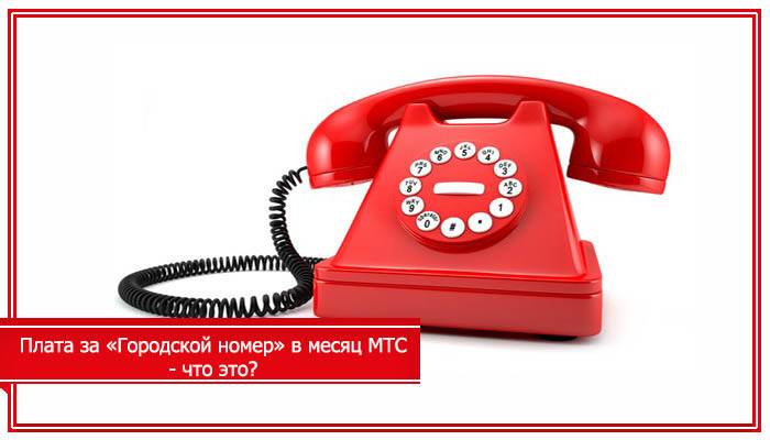 Перевести номер в федеральный формат. что значит федеральный и городской номер мтс, мегафон, теле2, билайн