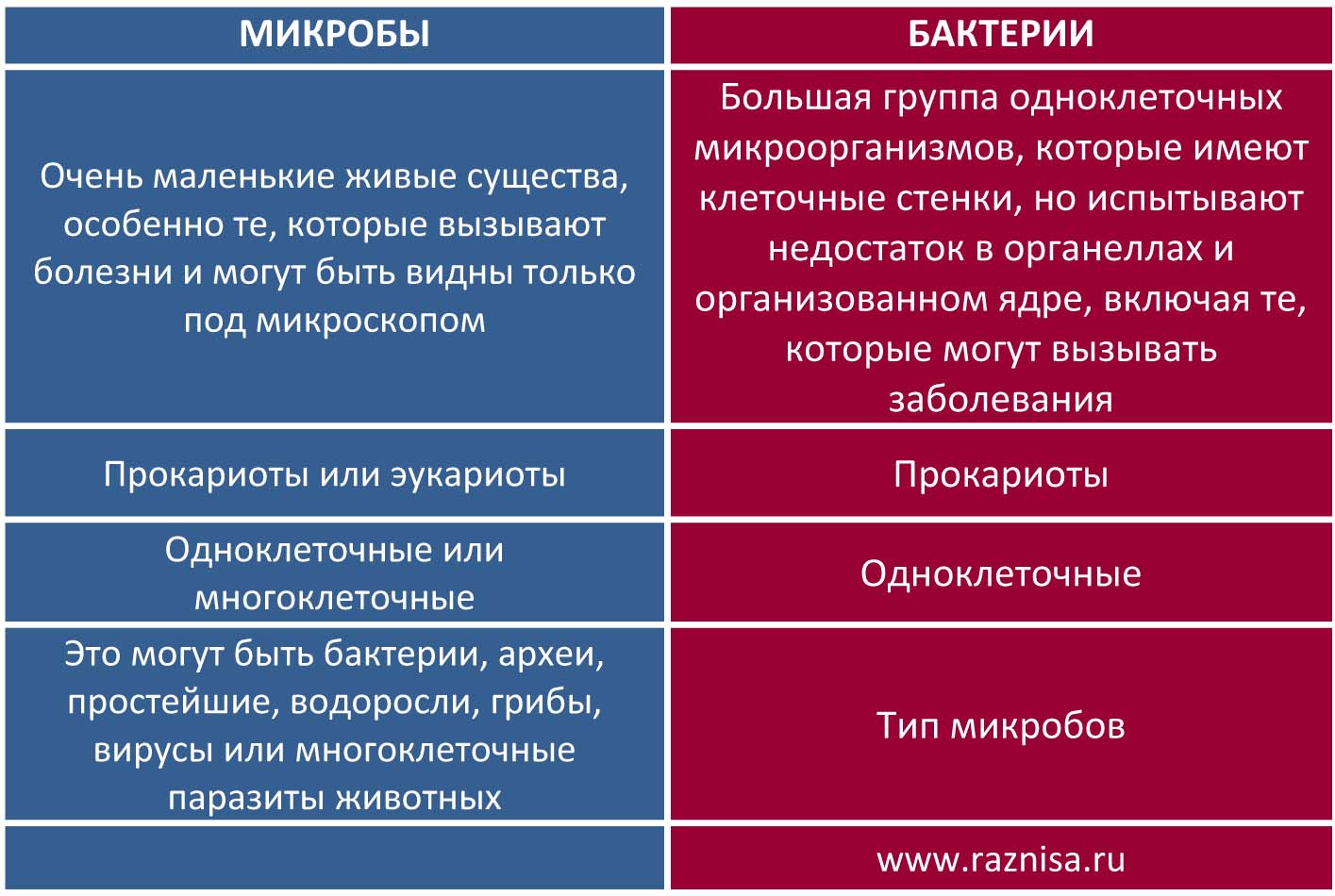 Классификация организмов. вирусы. бактерии. грибы. лишайники. | егэ по биологии, подготовка от экзамера