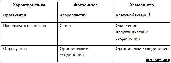 Хемосинтез | молекулярная биология