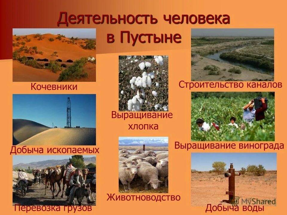 Урок 6: природные зоны россии - 100urokov.ru