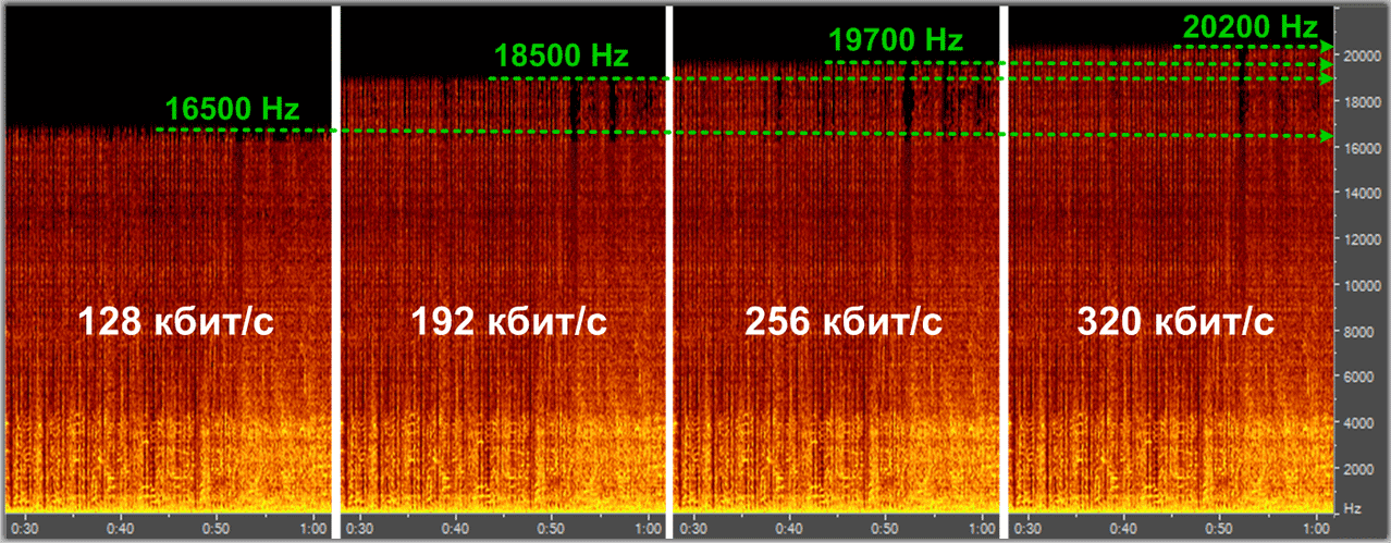 Каковы различия между mp3, flac и другими аудиоформатами?