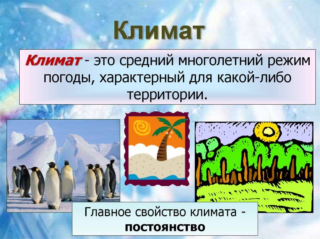 Климат