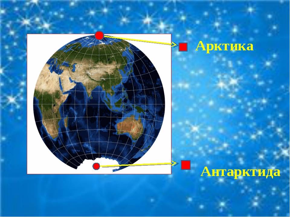 Антарктика - происхождение, расположение и основные характеристики