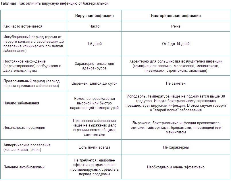 Разница между бактериями и вирусами - разница между - 2024