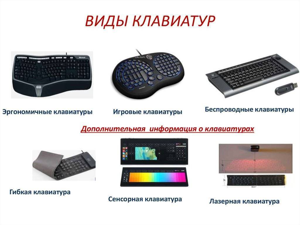 Мембранная, механическая или ножничная: какая клавиатура лучше? - обзоры - info.sibnet.ru