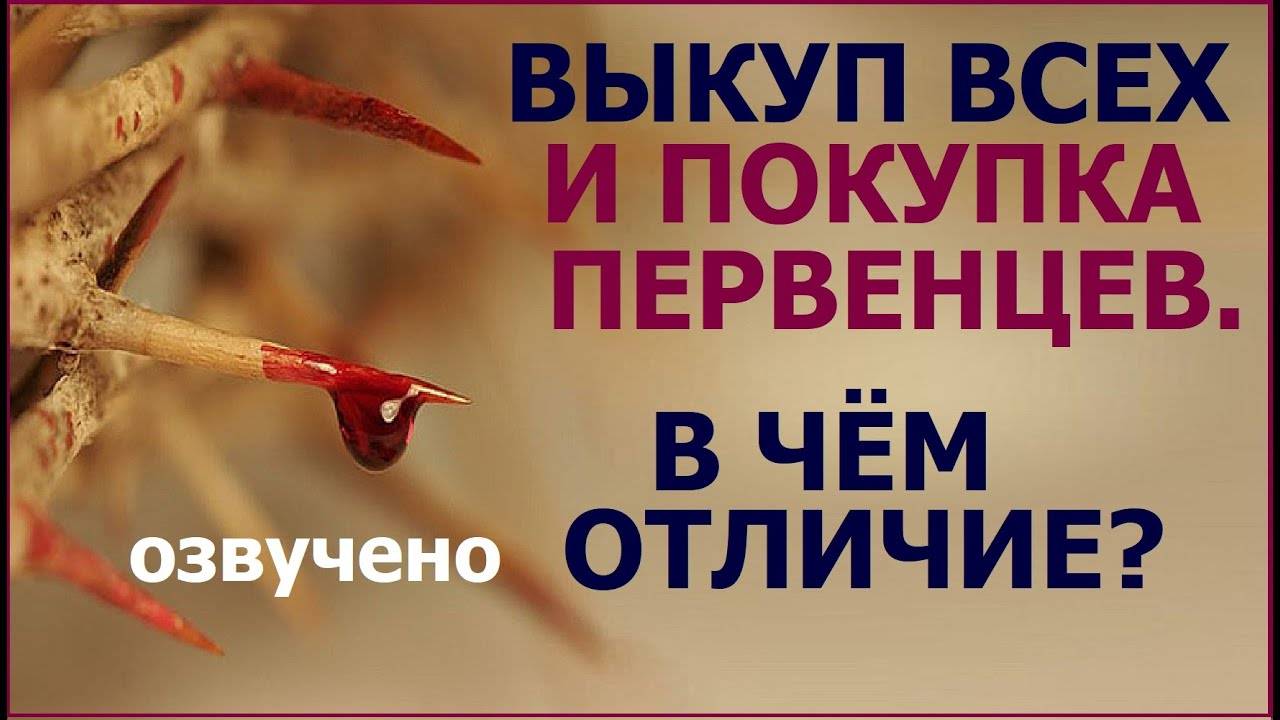 Процессуальное положение свидетеля, эксперта, специалиста. правовой статус свидетеля в уголовном процессе