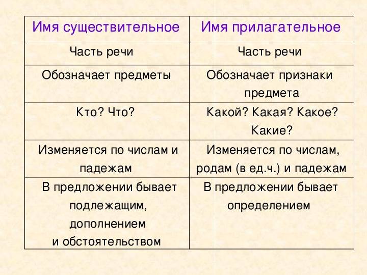 Урок 10: имя прилагательное - 100urokov.ru