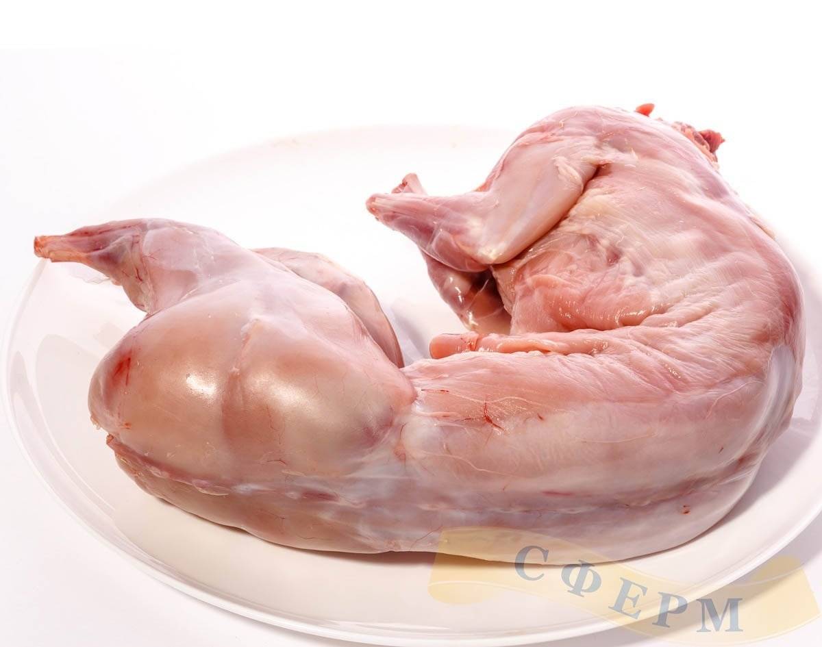 Мясо. утка, кролик и экзотические виды мяса