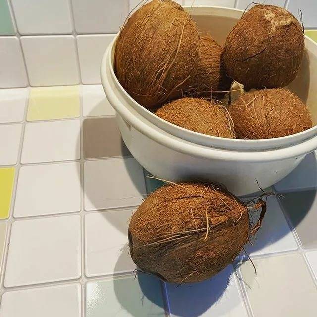 Всё о кокосе