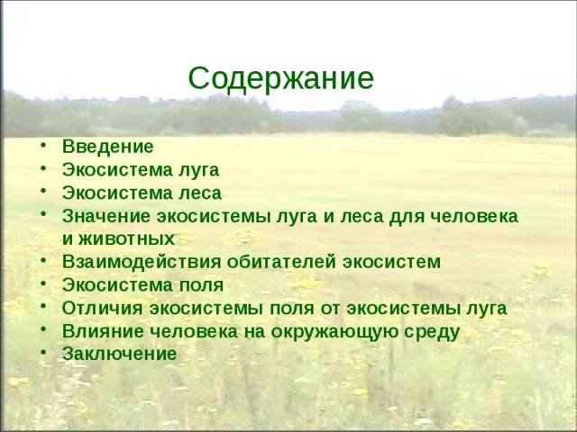 Основное различие леса и луга