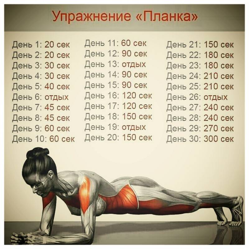 Отжимания от пола: анатомия упражнения, основные разновидности, какие мышцы качаются