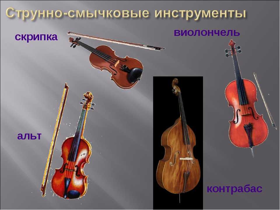 Какая разница между виолончелью, контрабасом, альтом и скрипкой: основные отличия