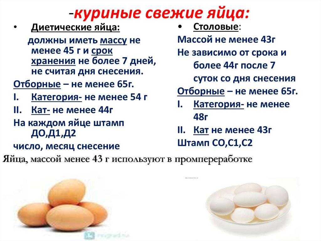 Яйцо с0 с1 с2: в чем разница и как выбрать лучшую опцию