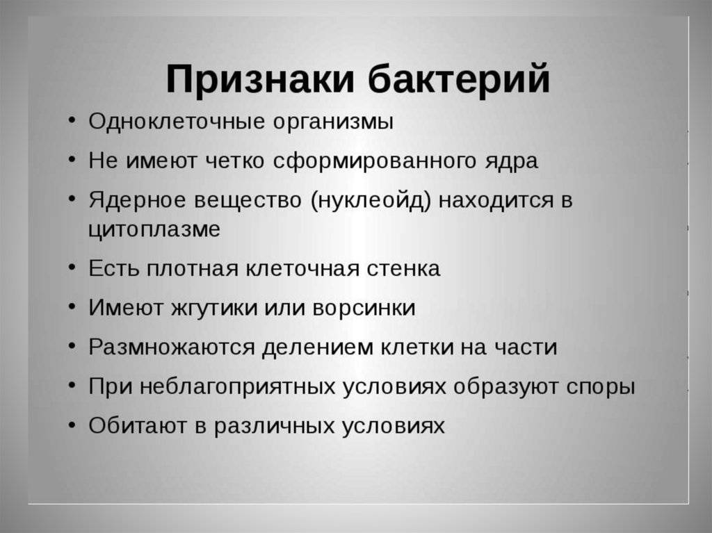Чем спора отличается от свободной бактерии?