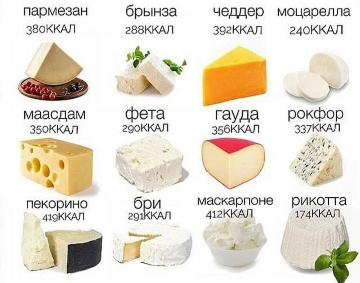 Брынза, фета и фетакса: чем отличаются эти сыры