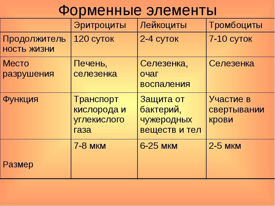 Форменные элементы крови: виды и назначение каждой клетки — анализытут