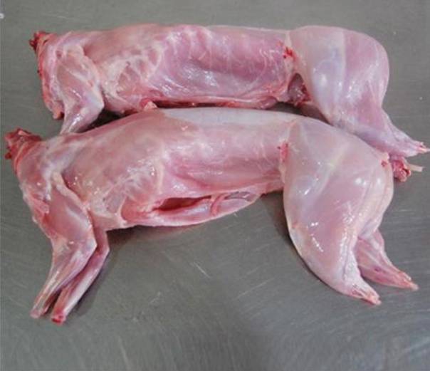 Мясо кролика или кошка » собачки и кошечки