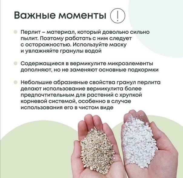 Вермикулит и перлит для растений – как применять, что лучше?