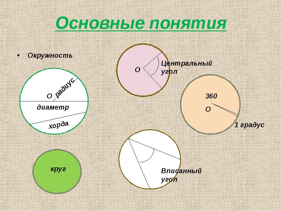 Диаметр и радиус окружности: понятие и различия