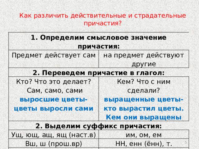 Действительные и страдательные причастия - справочник по русскому языку  - преподавание - образование, воспитание и обучение - сообщество взаимопомощи учителей педсовет.su